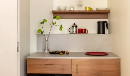 a kitchen counter with a red plate and a plant on it