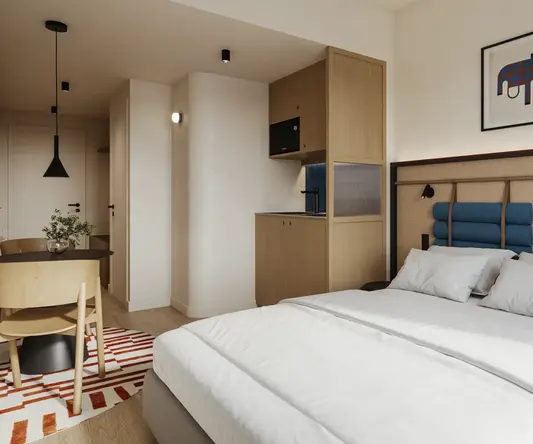 a bedroom with a bed and a rug