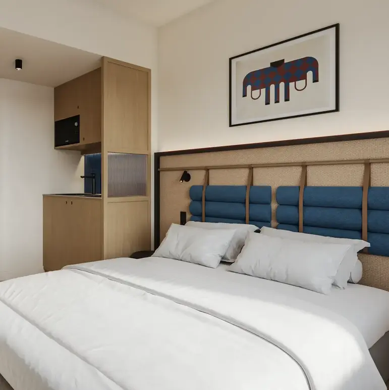 a bedroom with a bed and a rug