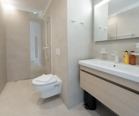 a bathroom with a shower and toilet