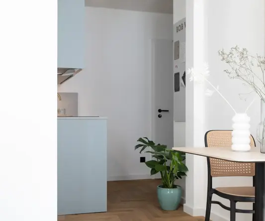 a room with a table and a plant