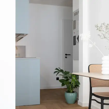 a room with a table and a plant