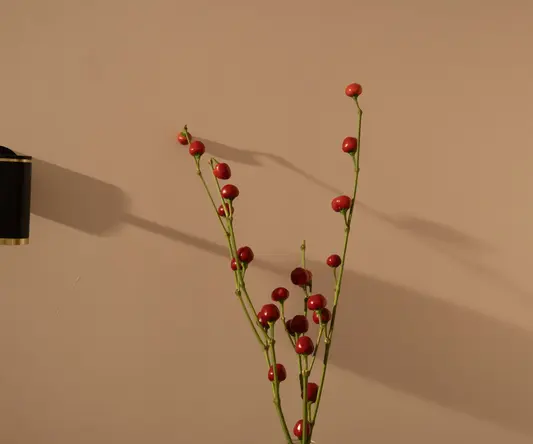 a red berries in a vase