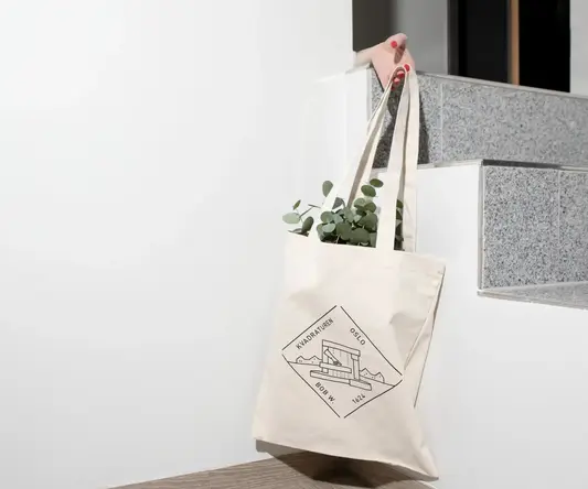 a person holding a bag with a plant in it