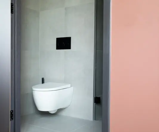 a toilet in a bathroom