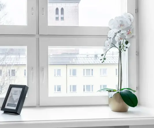 a white flower in a pot in front of a window