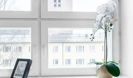 a white flower in a pot in front of a window