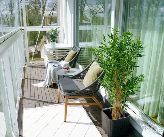 a patio with chairs and a plant