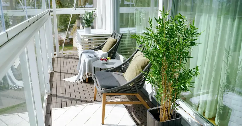 a patio with chairs and a plant