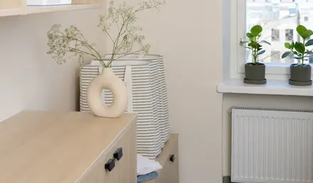a room with shelves and plants