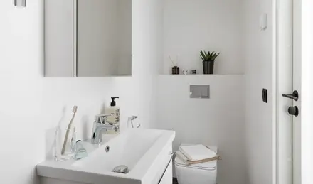 a bathroom with a sink and toilet
